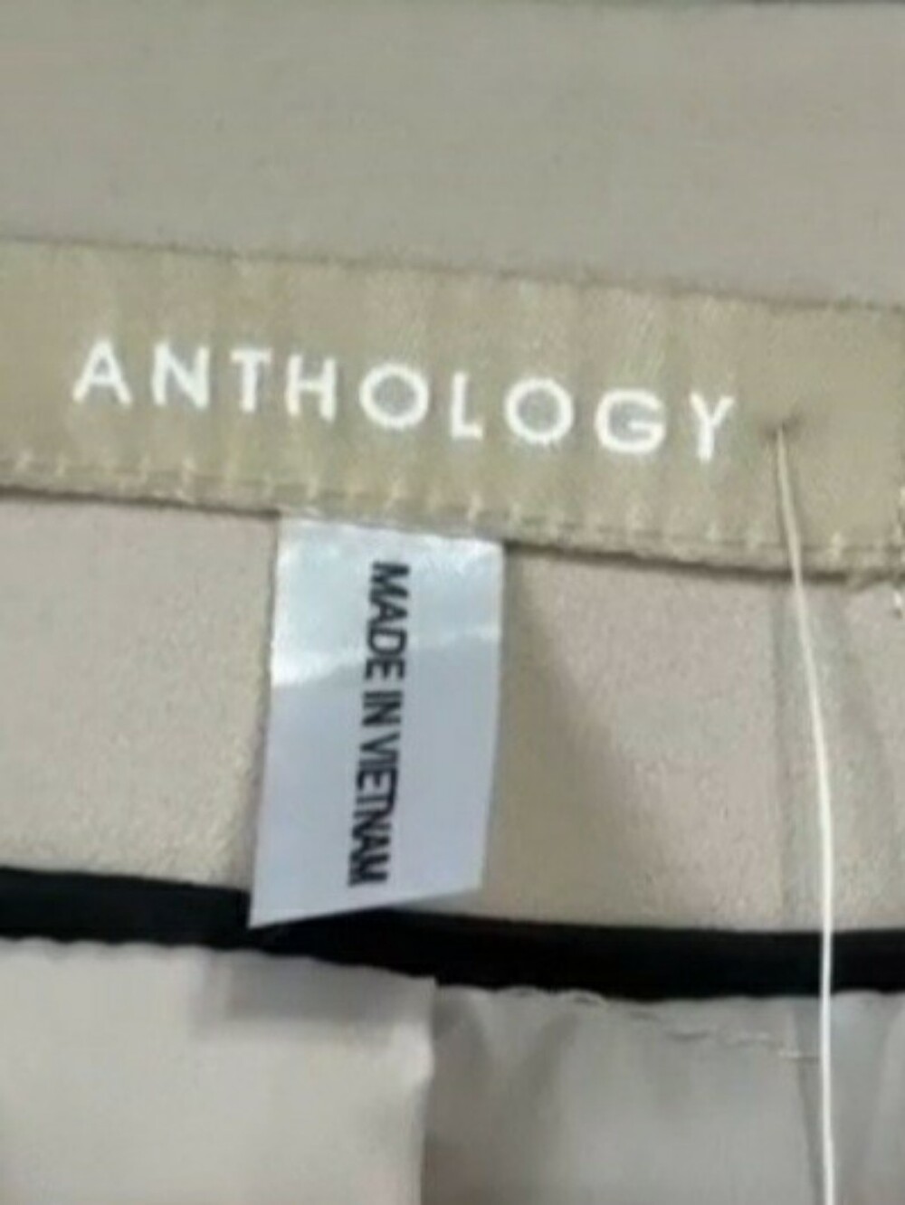 JD Williams ANTHOLOGY Stunning Blazer-Coat Cream Size 24 NWOT - Picture 3 of 13